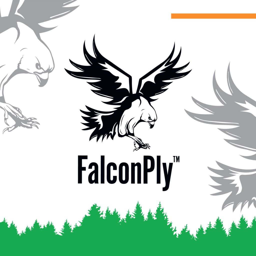 FalconPly™ hardwood plywood logo hovering over a green silhouette of pine trees.